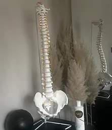 Sports Therapy Rehabilitation